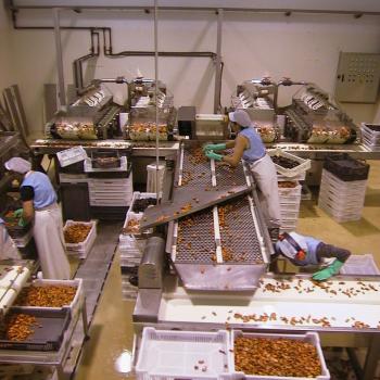 mussel-processing-plant-in-aguino-riveira-a-coruna